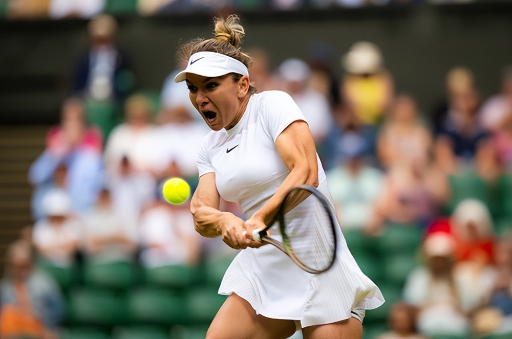  莱巴金娜温网夺冠书写新传奇